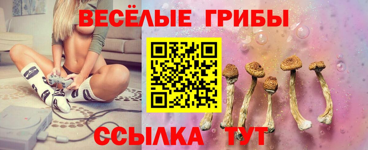 Саров  Псилоцибиновые грибы Magic Shrooms  Вход с VPN  Галлюциногенные грибы GOLDEN TEACHER 