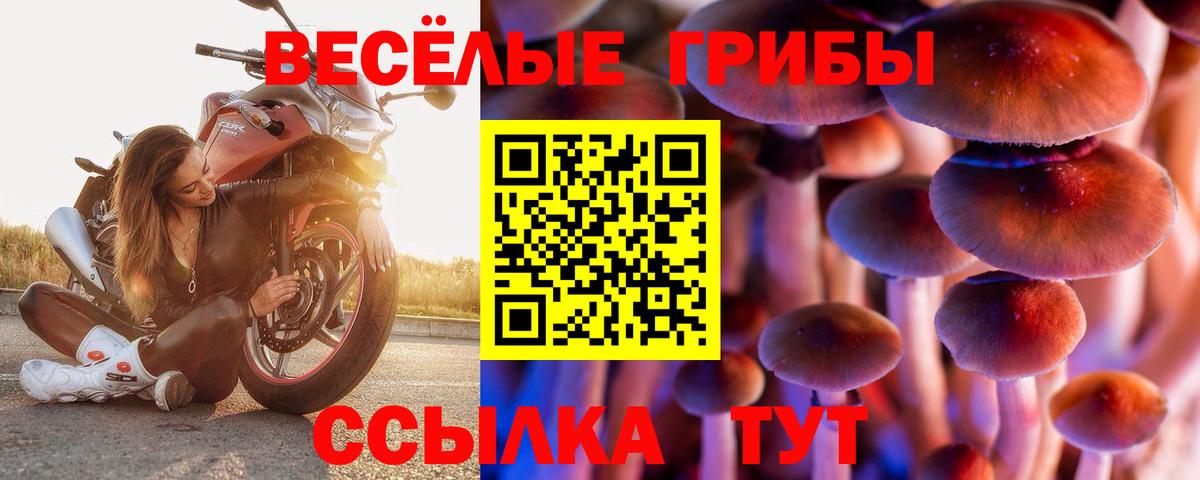 Галлюциногенные грибы MAGIC MUSHROOMS Саров